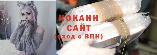 крисы Алзамай