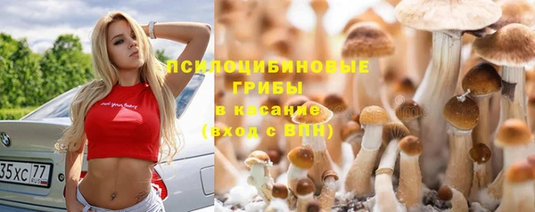 каннабис Алексин