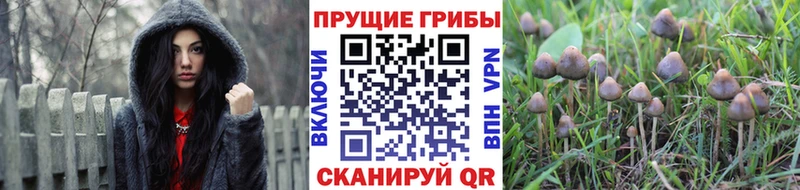 Галлюциногенные грибы Magic Shrooms  Омск 