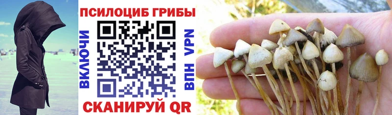 Псилоцибиновые грибы мицелий Омск