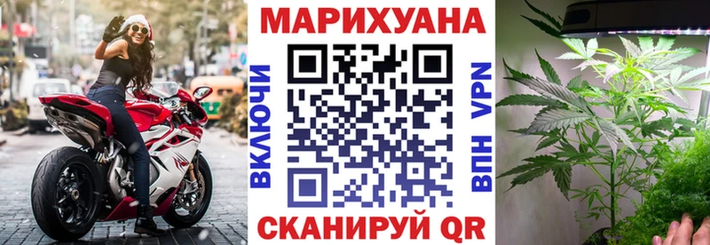 как найти наркотики  Омск  Канабис тримм 
